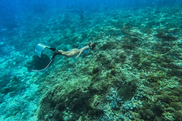 DIVE ACTIVITY (11)