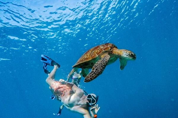 DIVE ACTIVITY (15)