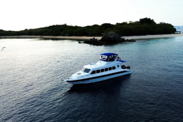 One Day Speedboat Tour – Komodo Island (2)