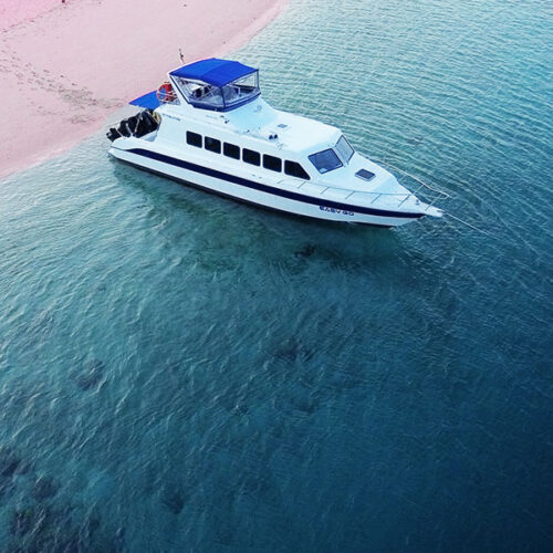 One Day Speedboat Tour – Komodo Island