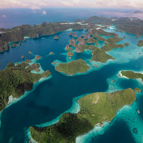 Raja Ampat 4D3N – Private Trip