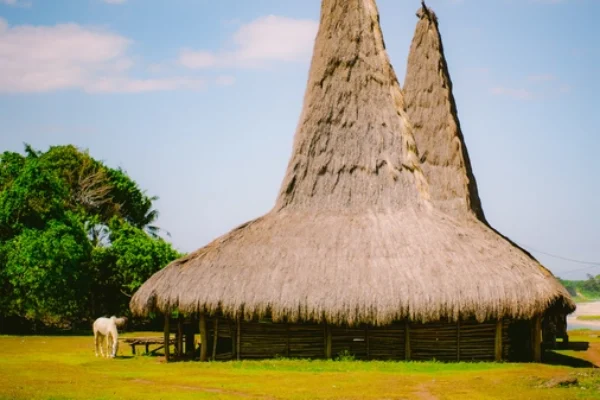 SUMBA (1)