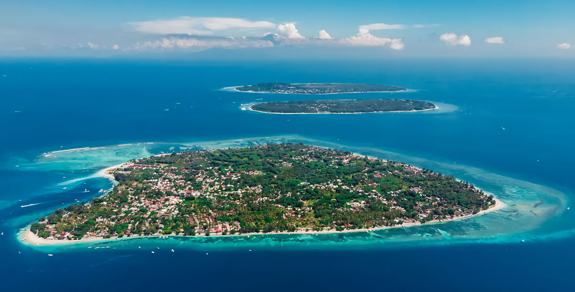 Where-Passion-Meets-Purpose